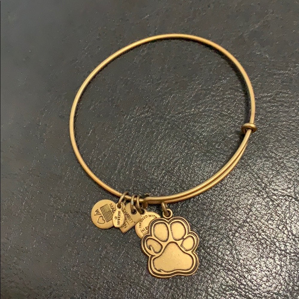 Alex and ani bracelet